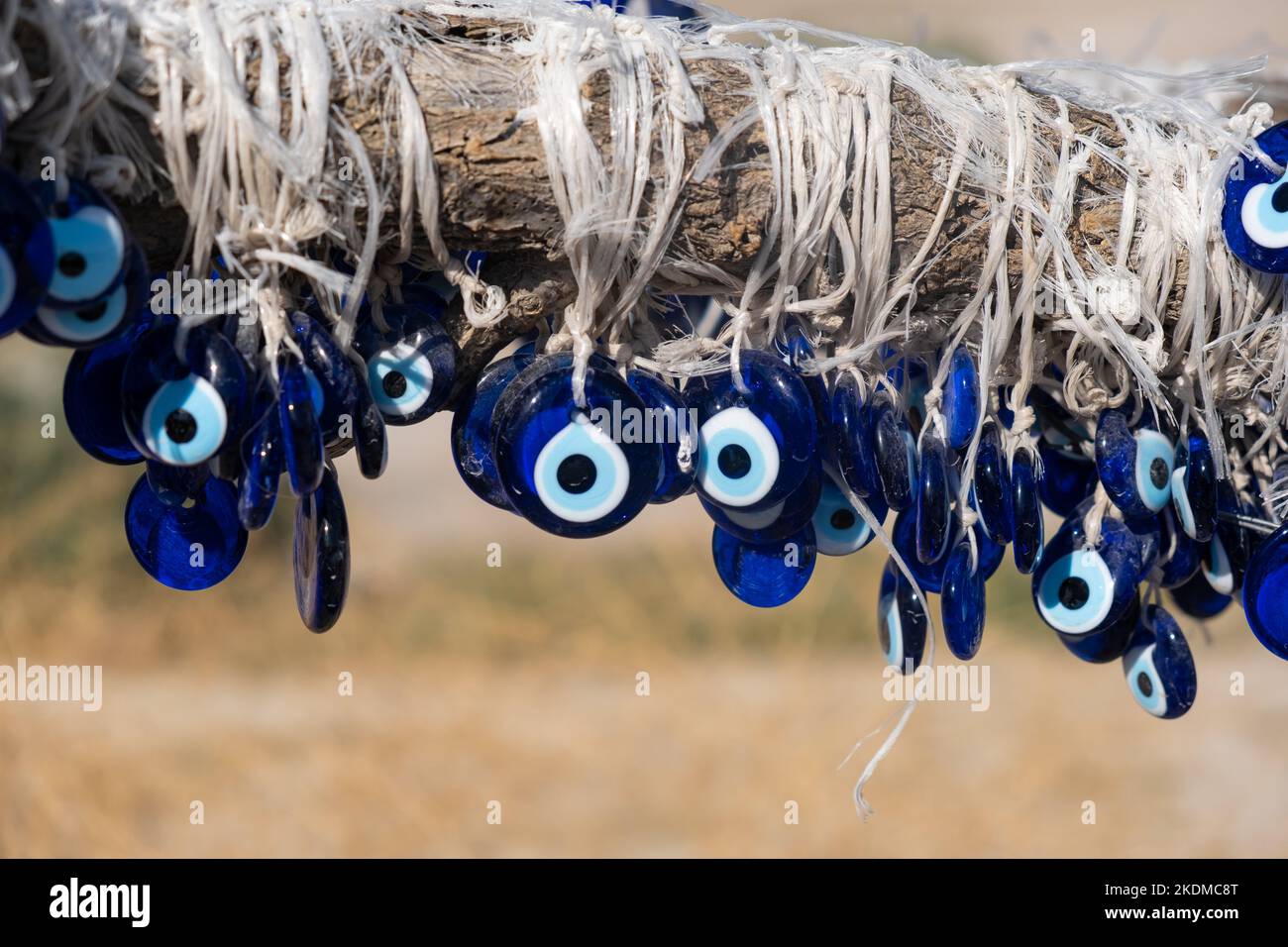 Viele traditionelle türkische evil eye bead amulette auf dem baum nazar  boncuk aus blauem glas