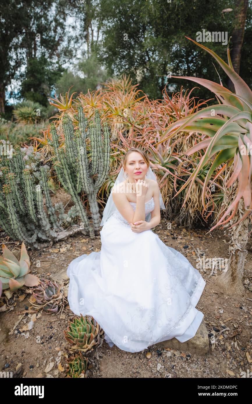 Braut im weißen Brautkleid sitzt umgeben von Kaktusgarten Stockfoto