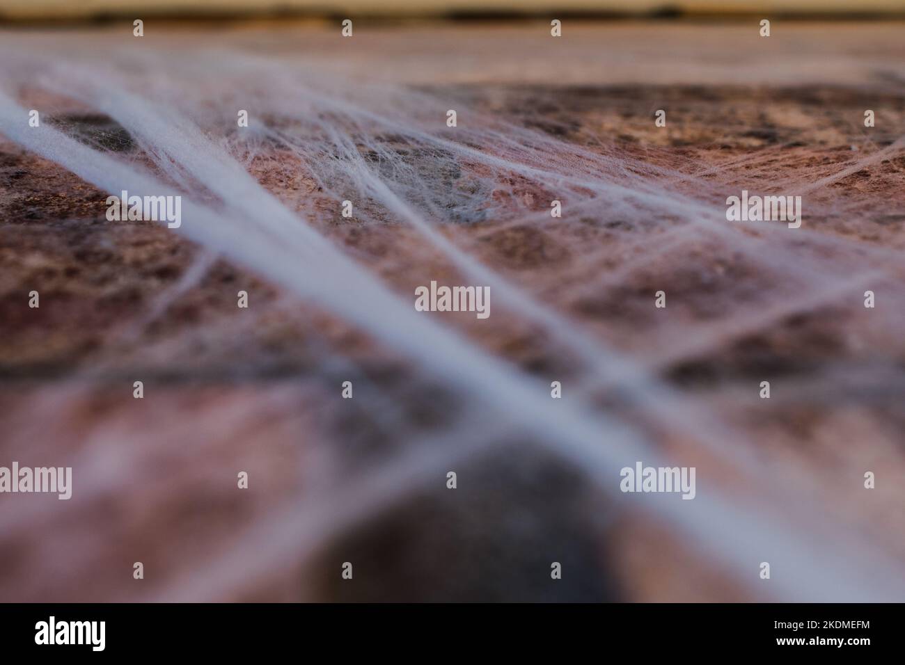 Halloween Webbing an einer Ziegelwand Stockfoto