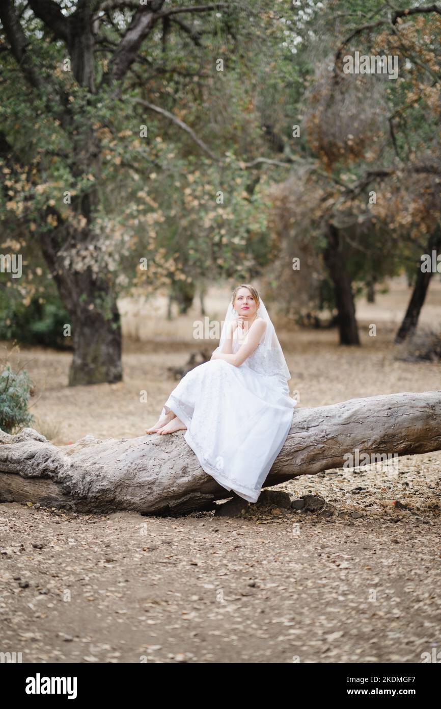 Die Braut sitzt auf einem großen gefallenen Baum im Hain of California Oak Trees Stockfoto