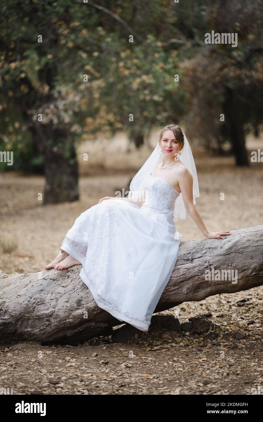 Die Braut sitzt auf einem großen gefallenen Baum im Hain of California Oak Trees Stockfoto