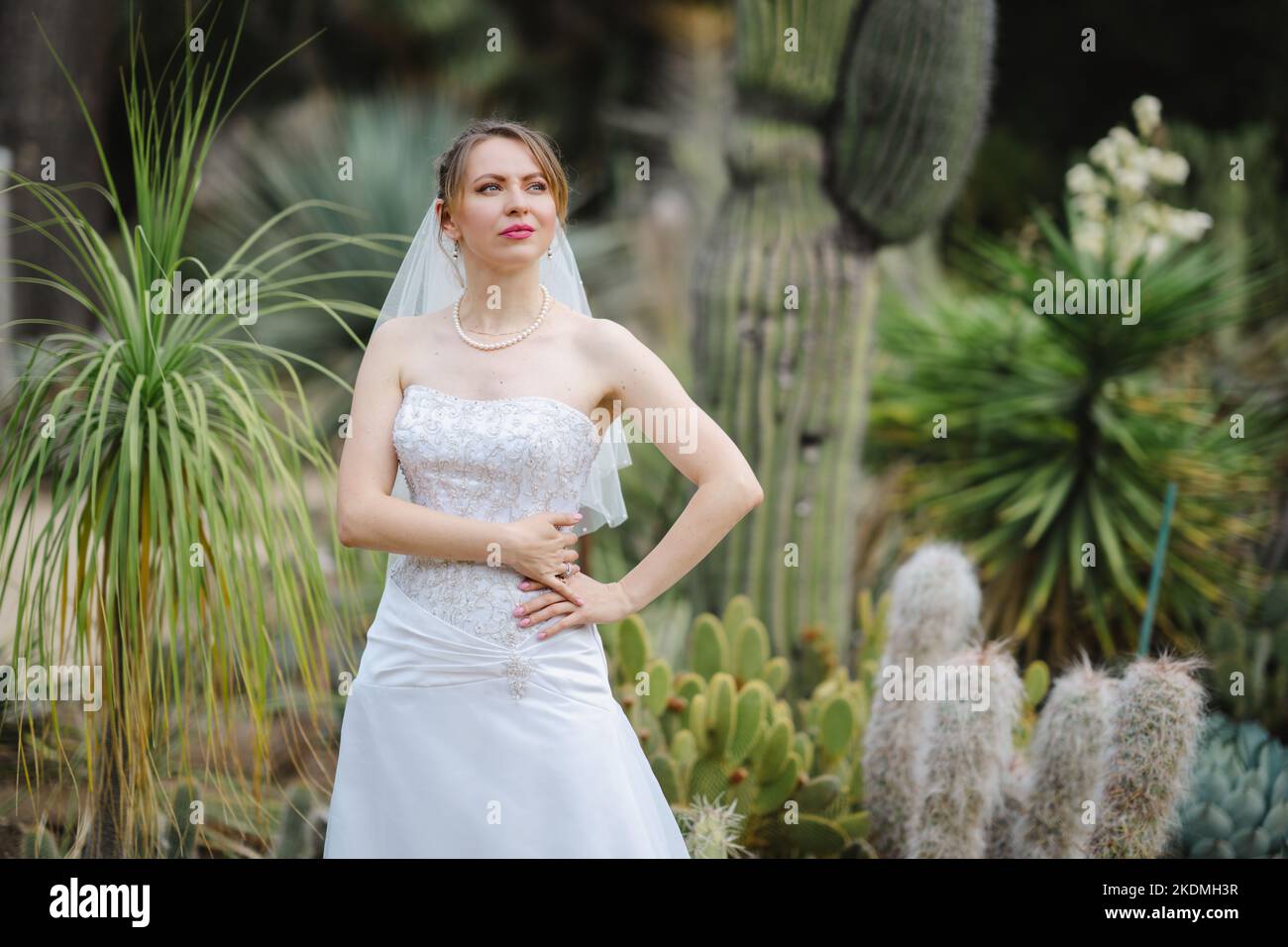 Braut steht in einem Kaktusgarten Stockfoto