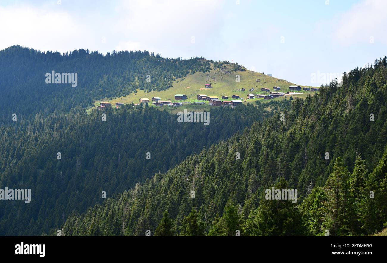 Das Sal Plateau in Rize, Türkei, ist ein wichtiges lokales Plateau. Stockfoto