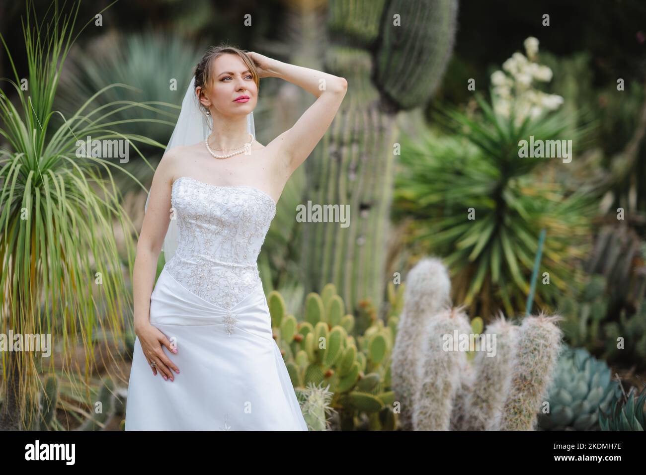 Braut steht in einem Kaktusgarten Stockfoto