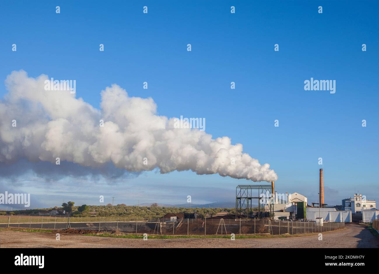 Gasemissionen der Olivenölfabrik in Tierra de Barros, Extremadura, Spanien Stockfoto