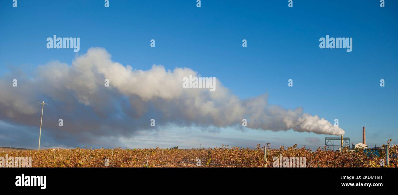 Gasemissionen der Olivenölfabrik in Tierra de Barros, Extremadura, Spanien Stockfoto