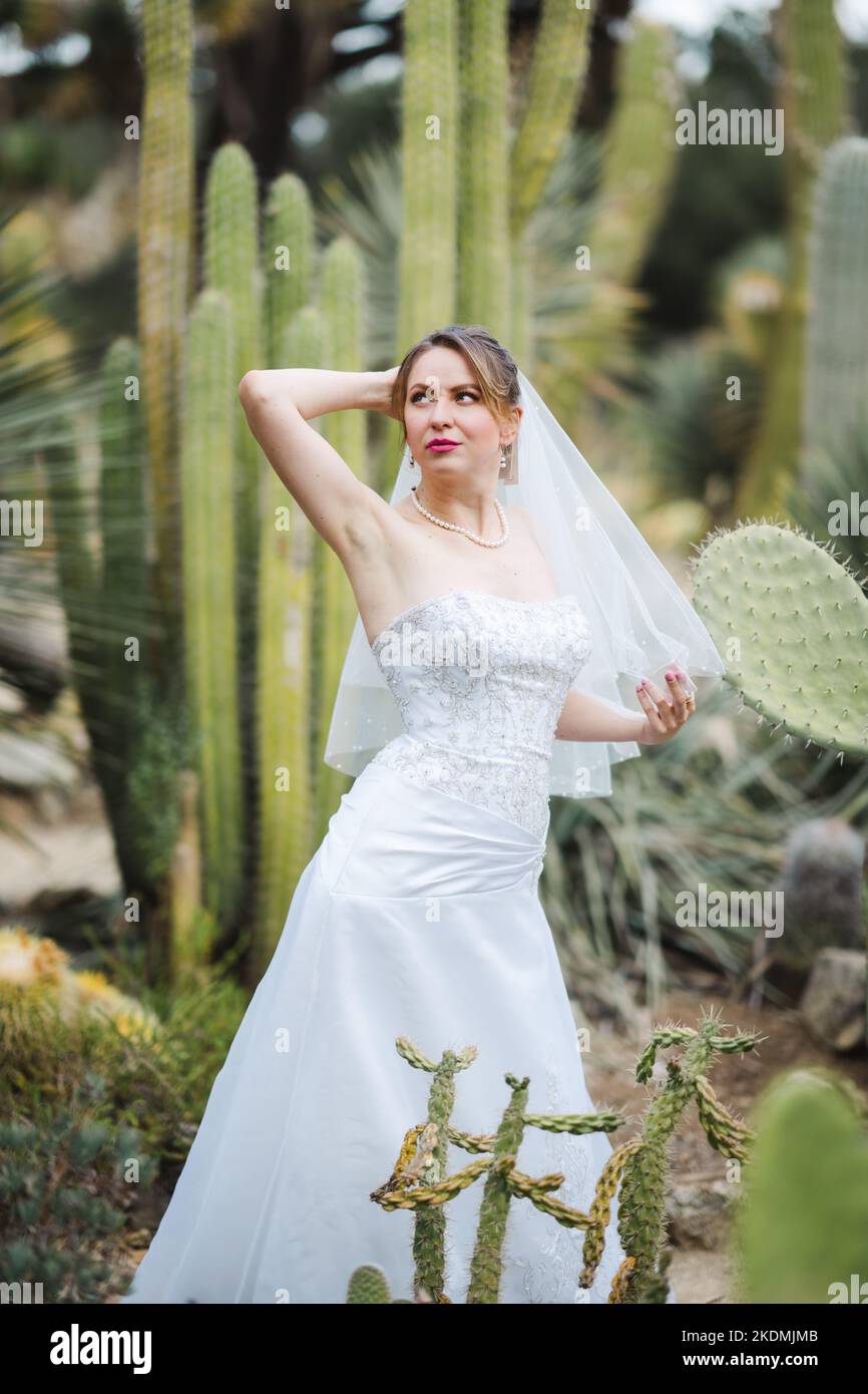 Braut umgeben von Kaktuspflanzen in einem Garten am späten Nachmittag Stockfoto