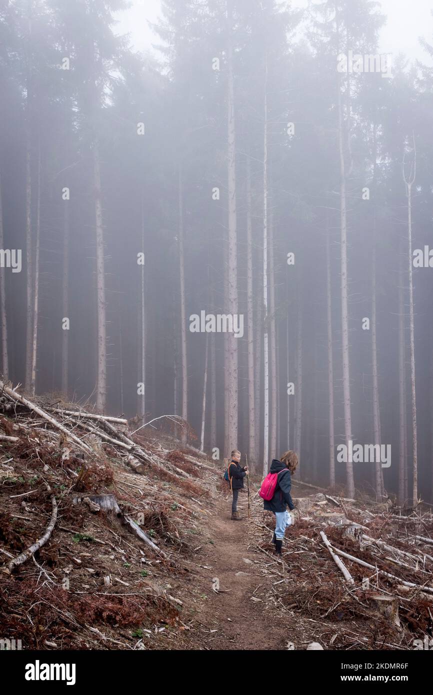 Zwei Kinder stehen im Herbst auf einem Weg durch ein nebeliges Waldgebiet in den Vogesen, Elsass, Frankreich. Stockfoto