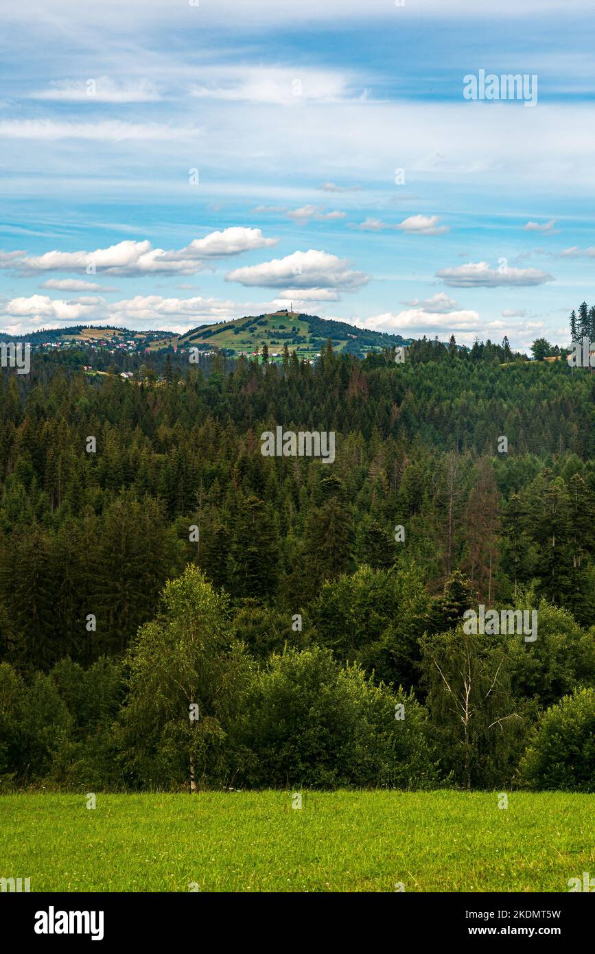 Ochodzita Hügel in Beskid Slaski Berge von der Wiese über Jaworzynkja Dorf in Polen Stockfoto