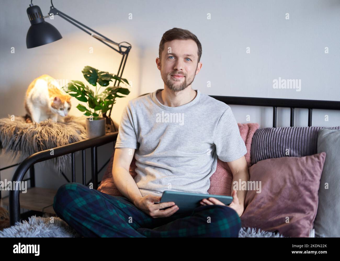 Attraktiver bärtiger, freiberuflicher Softwareingenieur, der zu Hause mit einem Tablet und einer tabby Katze in der Nähe sitzt. Junger, hübscher Entwickler-Mann in grauem T-Shirt. Hochwertige Bilder Stockfoto