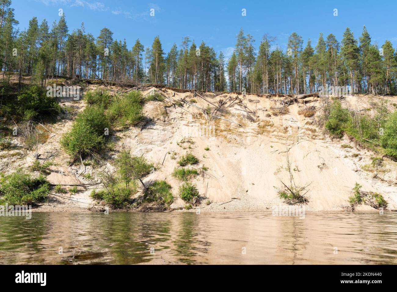 Ein steiles sandiges Flussufer an einem sonnigen Sommertag im Oulanka-Nationalpark in Nordfinnland Stockfoto