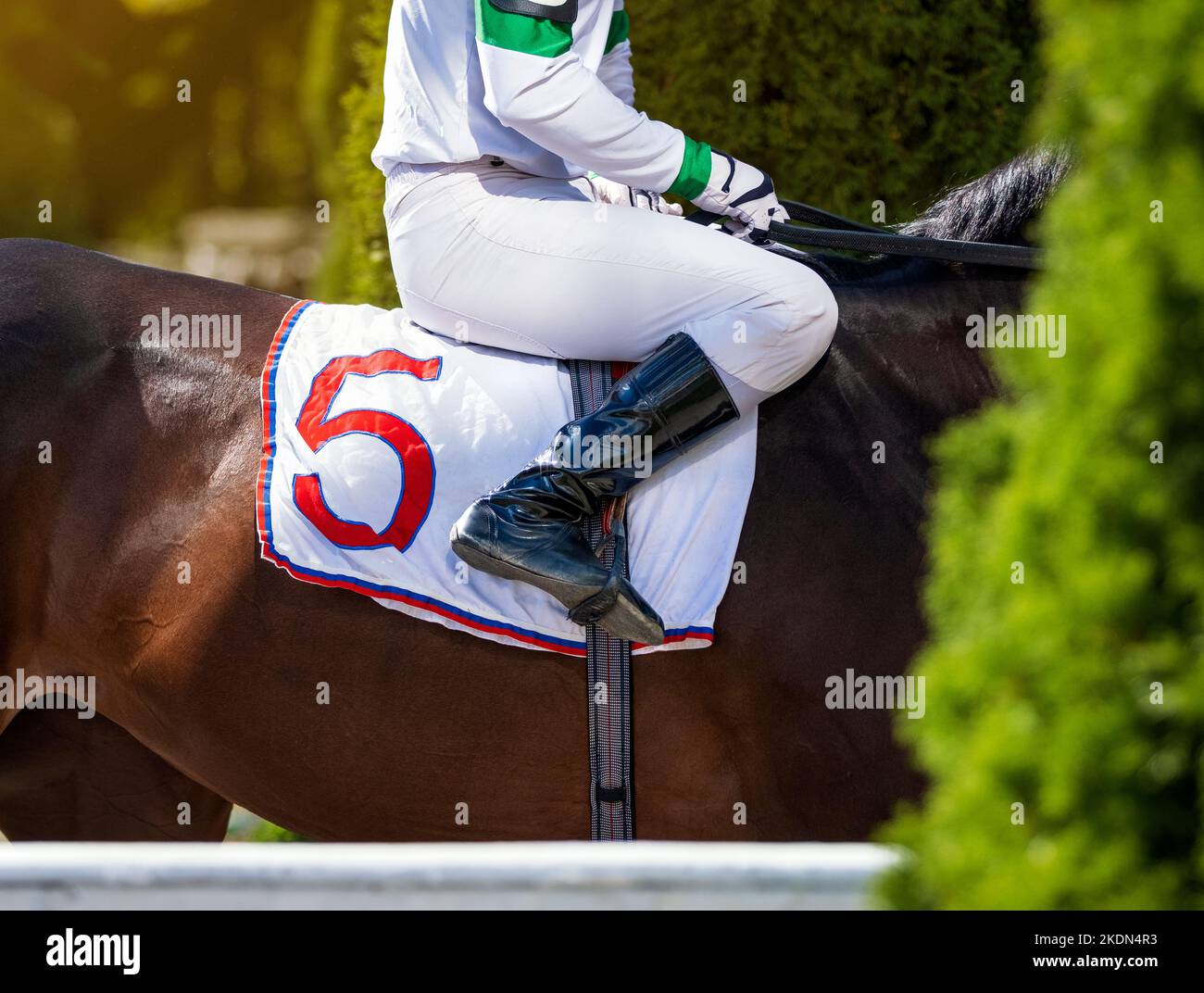 Hände und Uniform eines Jockeys. Rennpferd im Rennwettbewerb. Jockey sitzt auf einem Rennpferd. Sport. Champion. Hippodrome. Reiten. Derby. Pferd Stockfoto