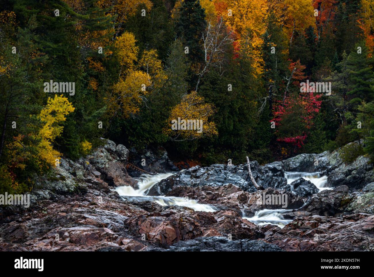 Ein Wasserfall stürzt sich in den borealen Waldfelsen, der von Bäumen mit leuchtenden Herbstfarben gesäumt ist. Stockfoto