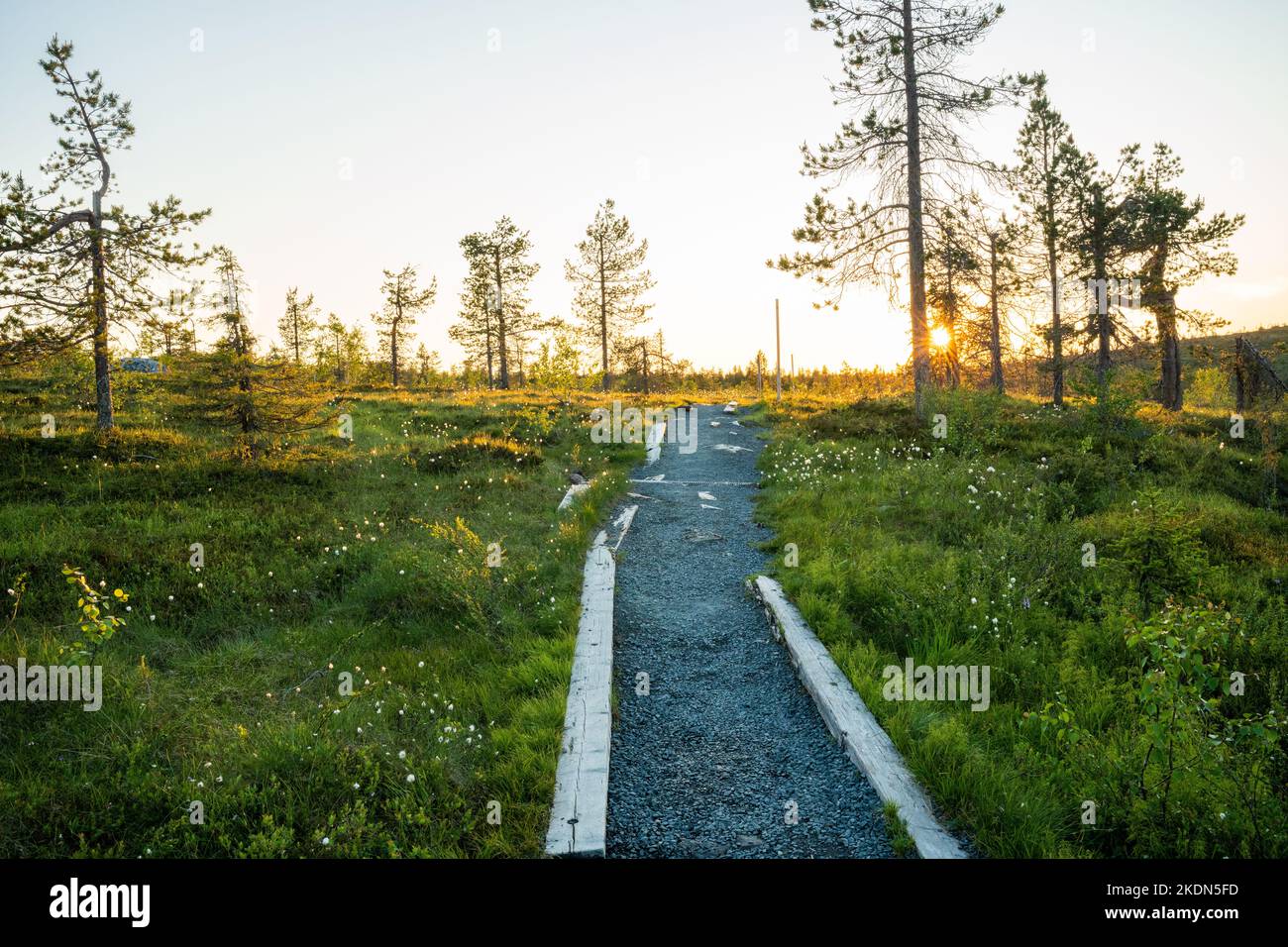 Markierter Wanderweg Riisin Rääpäsy während eines wunderschönen sommerlichen Sonnenuntergangs im Riisitunturi-Nationalpark in Nordeuropa Stockfoto