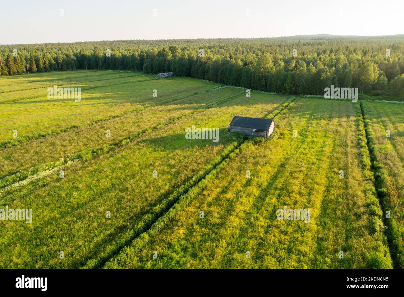 Ein Luftzug einer alten und kaputten Heuscheune inmitten von üppigem Grasland im sommerlichen Finnland an einem wunderschönen Abend Stockfoto