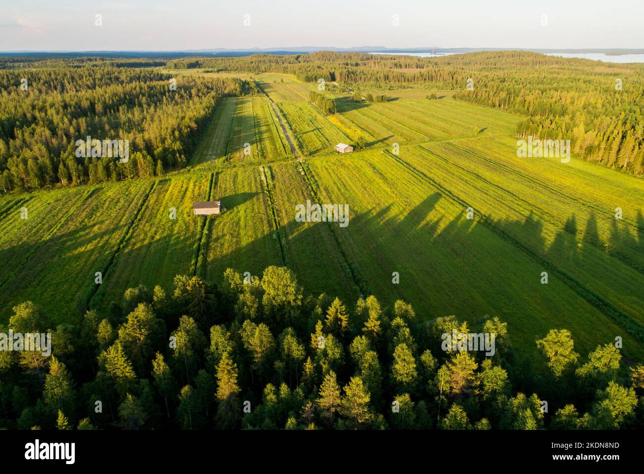 Eine Luftlinie aus alten und kaputten Heuscheunen inmitten von üppigem Grasland im sommerlichen Finnland an einem wunderschönen Abend Stockfoto