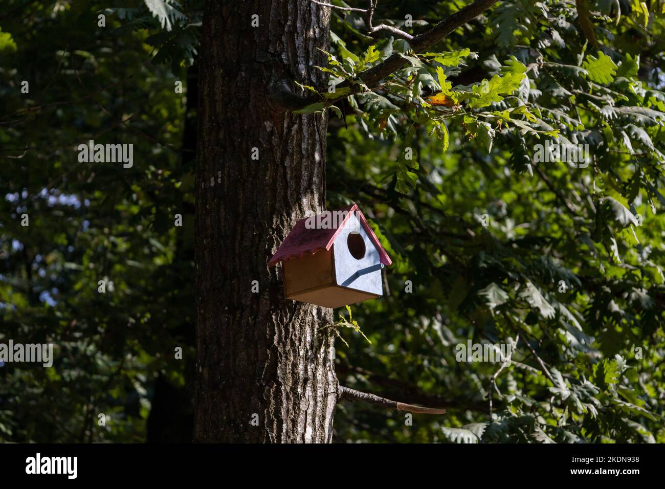 Ein Vogelnistkasten auf einem Baum. Farbenfrohe Vogelnistbox aus Holz. Stockfoto