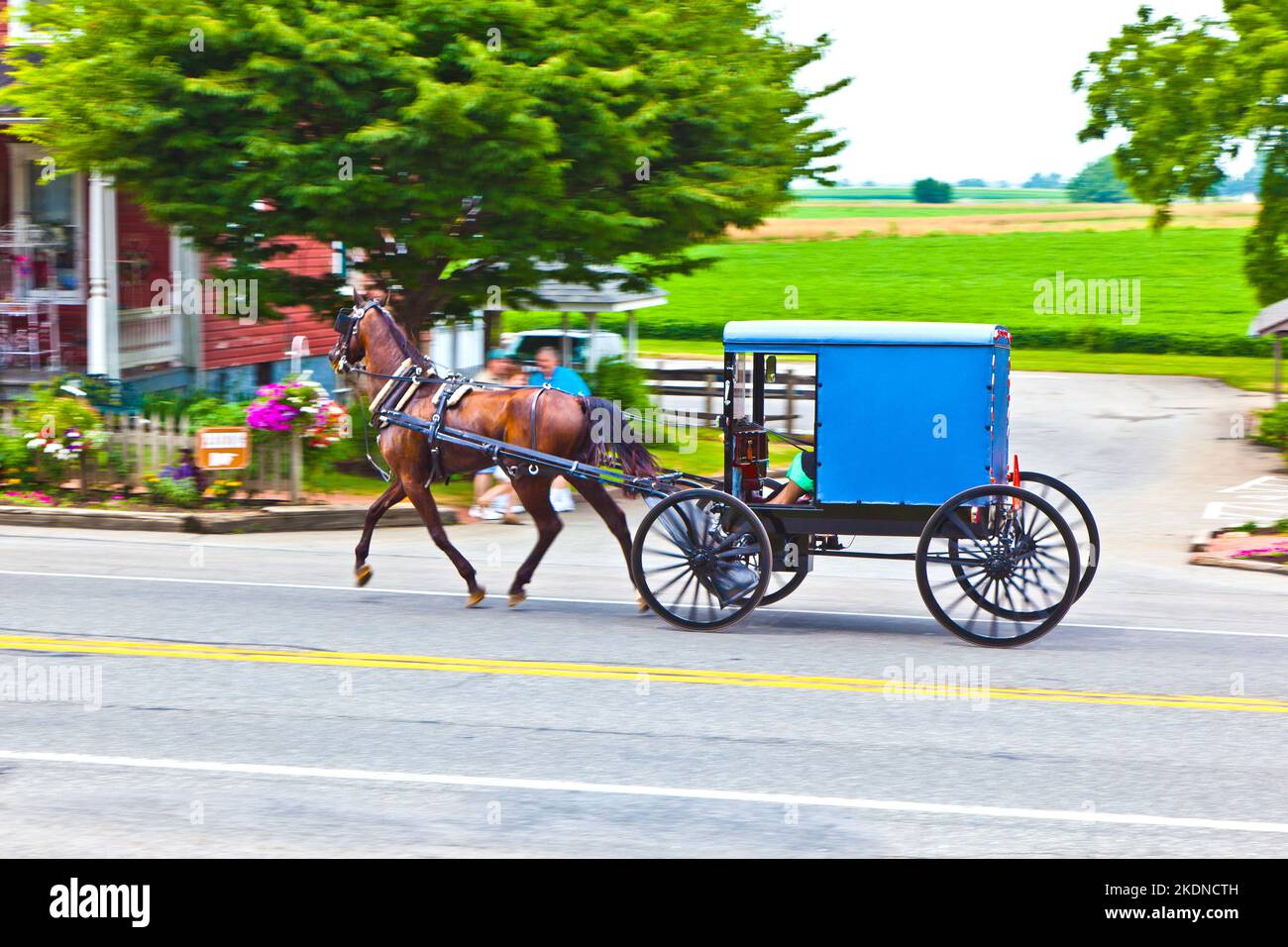 Lancaster, USA - 13. Juli 2010: Ein Pferd, das einen Wagen über die Straße zieht Stockfoto