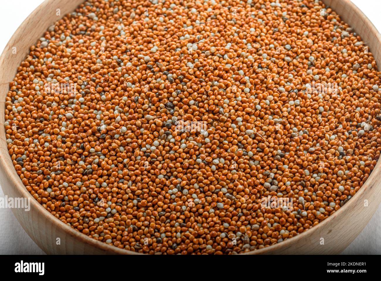 Getrocknete Körner Vogelfutter. Rote Hirse. Millets sind eine sehr ...
