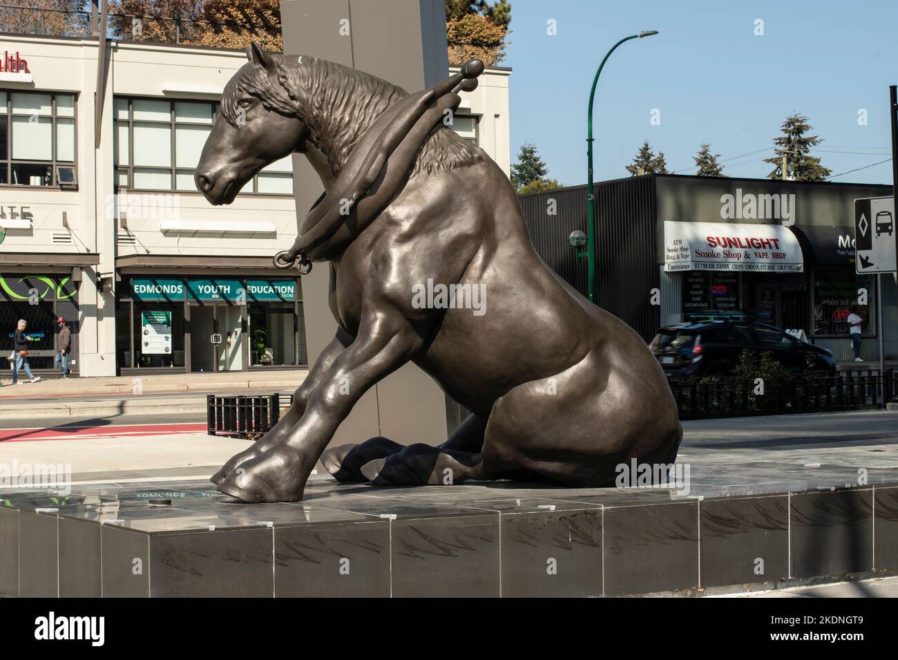 The Retired Draft Horse and the Last Pulled Log, Burnaby, British Columbia, Kanada Stockfoto