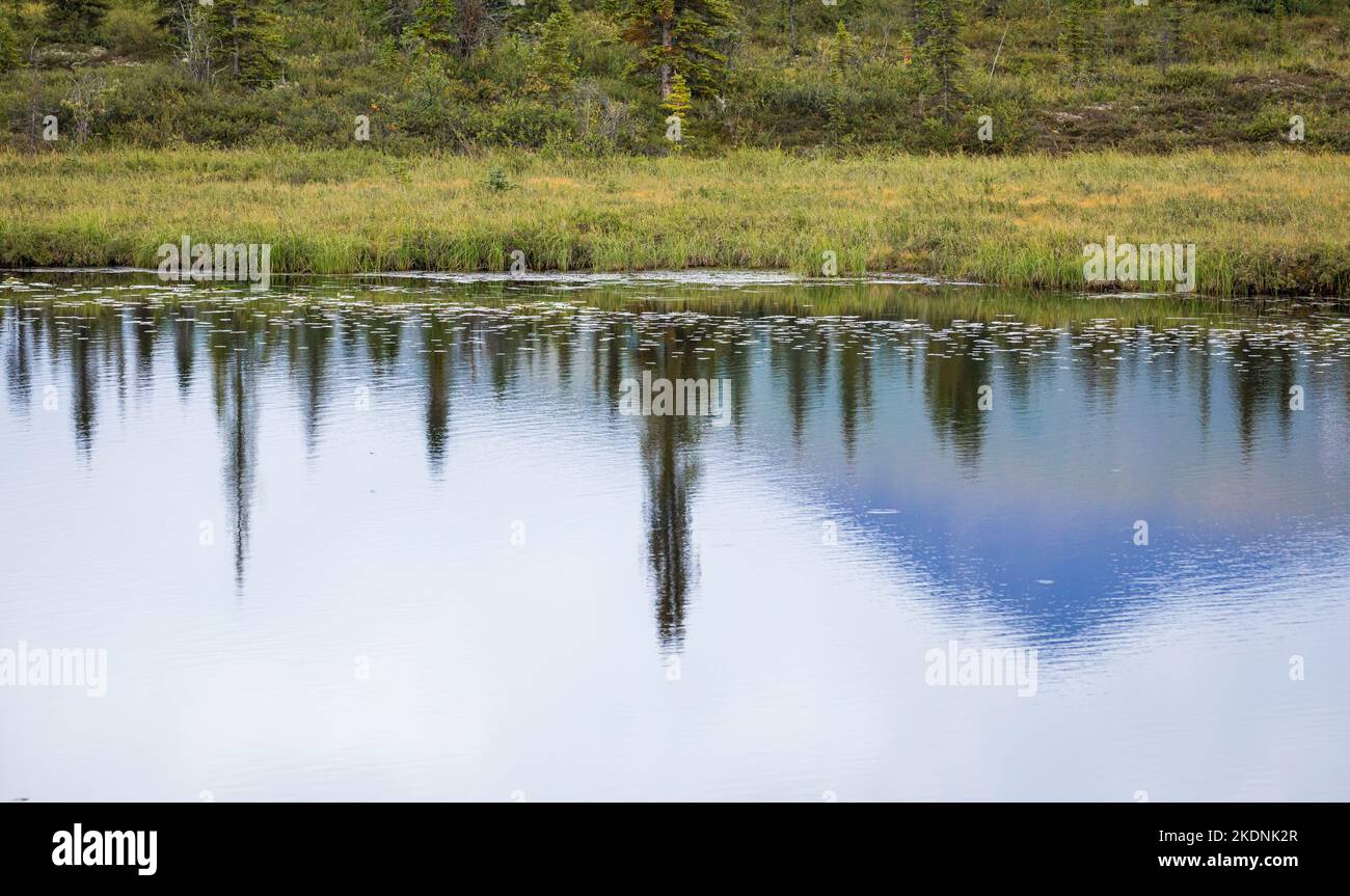 Reflections in Tonglen Lake, Alaska, USA. Stockfoto