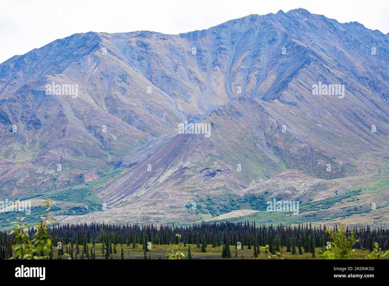 Berge im Frühherbst, Alaska Range, gesehen vom Parks Highway 3, Alaska, USA. Stockfoto