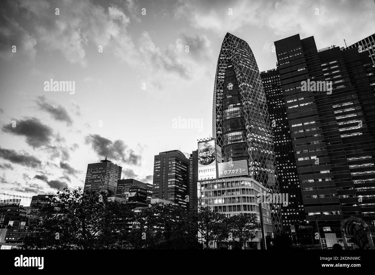 Tokio, Japan. 7.. November 2022. Skyline-Aufnahmen der Stadt Shinjuku in Tokio. Shinjuku ist einer der wichtigsten kommerziellen zentralen Geschäftsviertel Japans und der Sitz der Metropolitan Tokyo Regierung. Shinjuku ist berühmt für seine reiche Kultur der Fotografie, den verkehrsreichsten Bahnhof der Welt und beherbergt Yodobashi Camera, eine große Elektronikfachgeschäft-Kette. (Bild: © Taidgh Barron/ZUMA Press Wire) Stockfoto