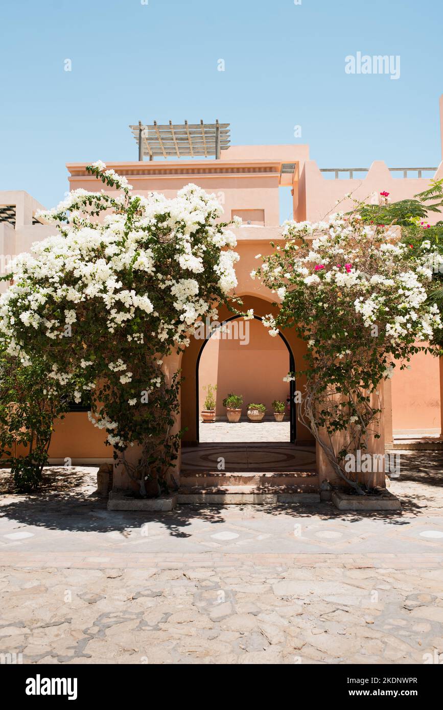 Die Details der Architektur von El Gouna, äußere Entwürfe, gewölbte Türen Eingang. Stockfoto