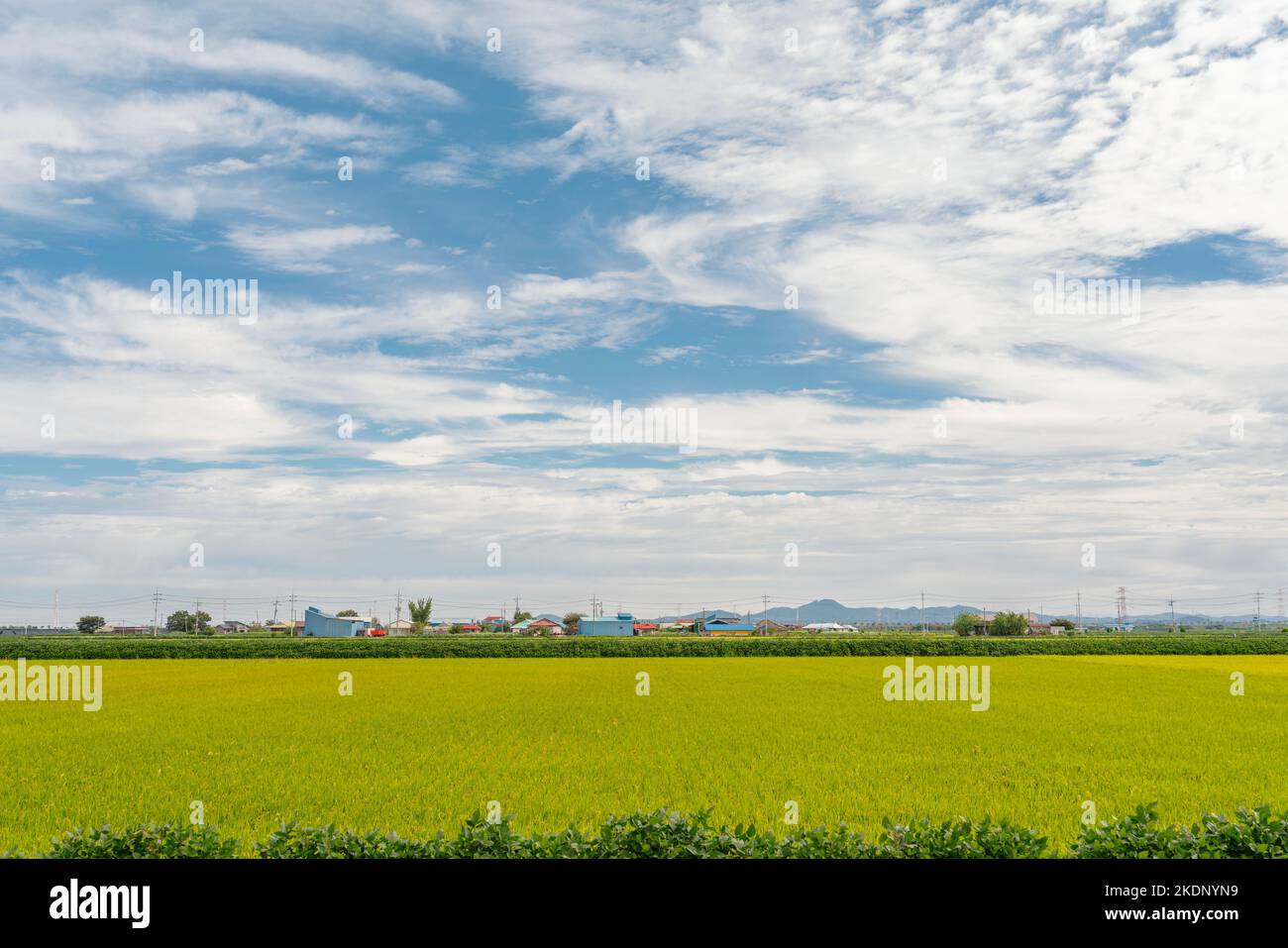 Koreanisches Dorf auf dem Land und grünes Feld Stockfoto