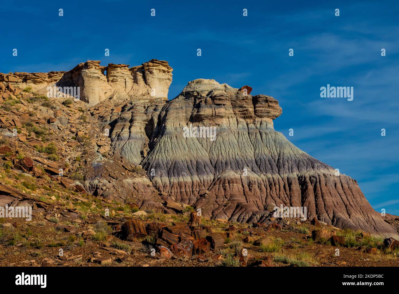 Versteinertes Holz erodiert aus einer Matrix aus weicheren Sedimenten Jasper Forest im Petrified Forest National Park, Arizona, USA Stockfoto