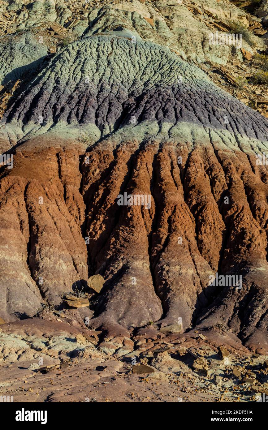 Versteinertes Holz erodiert aus einer Matrix aus weicheren Sedimenten Jasper Forest im Petrified Forest National Park, Arizona, USA Stockfoto