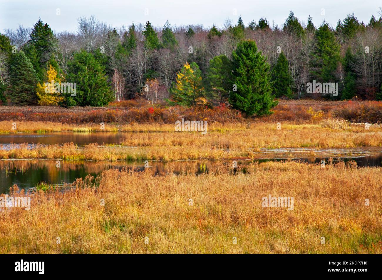 Upper Klondike Pond, zusammen mit seiner Schwester Lower Klondike Pond, auf dem Quellwasser des Lehigh River in Pennsylvania Pocono Mountains, wo importa Stockfoto