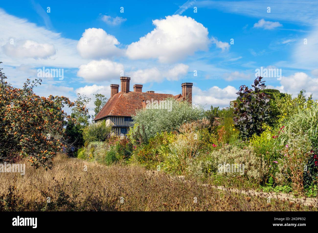 Great Dixter Wild Garden, East Sussex, Großbritannien Stockfoto