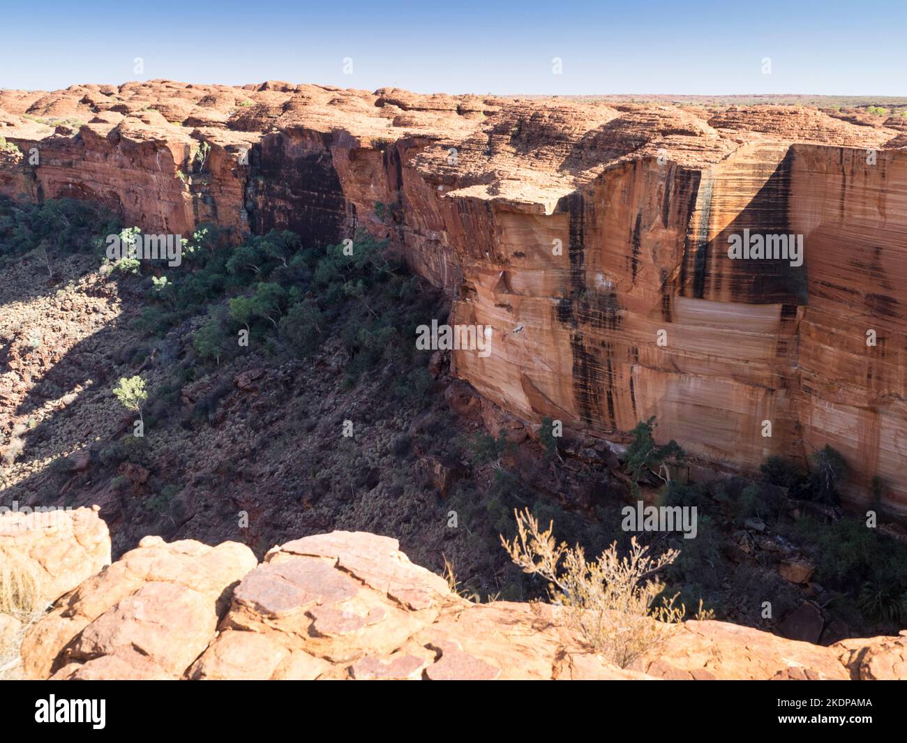 Kings Canyon von der Südmauer, Watarrka-Nationalpark, Northern Territory, Australien Stockfoto