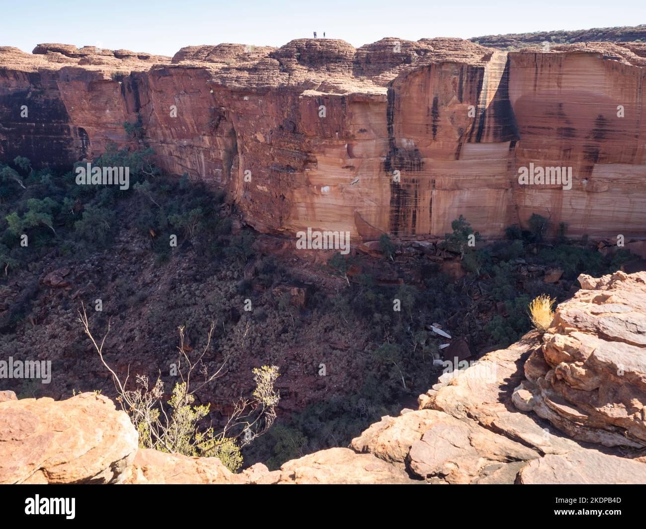 Der schiere Rand des Cotterills Lookout von der South Wall, Kings Canyon, Watarrka National Park, Northern Territory, Australien Stockfoto