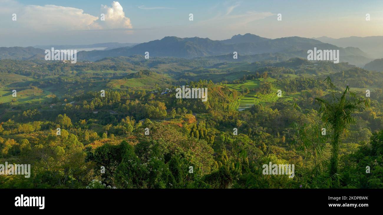 Panorama der Morgenlandschaft vom Hügel Golo Curu in der Nähe von Ruteng, Manggarai-Regentschaft, Insel Flores, Ost-Nusa Tenggara, Indonesien Stockfoto