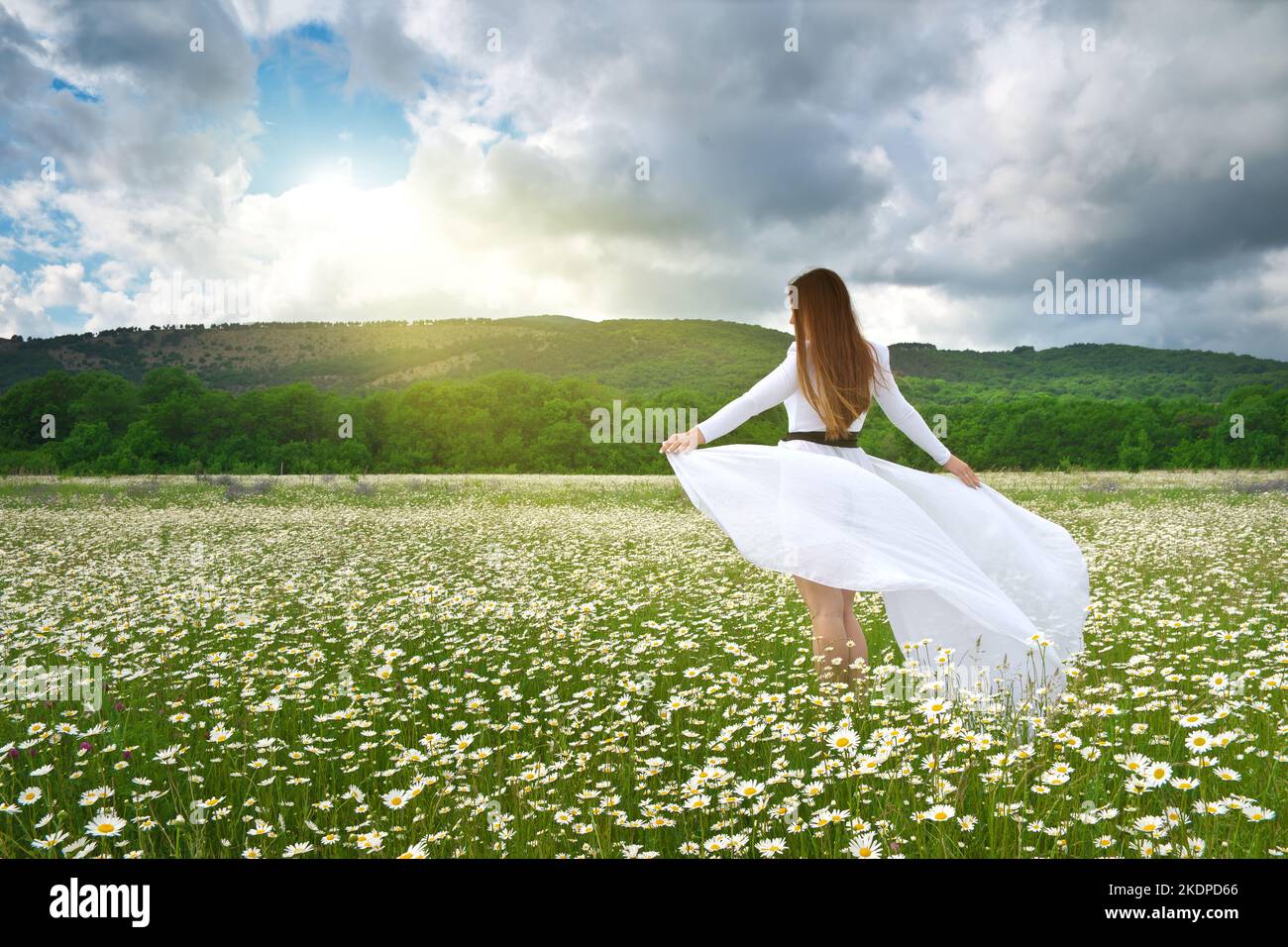 Junge Frau in einem weißen Kleid in einem Feld von Kamillenblüten Stockfoto