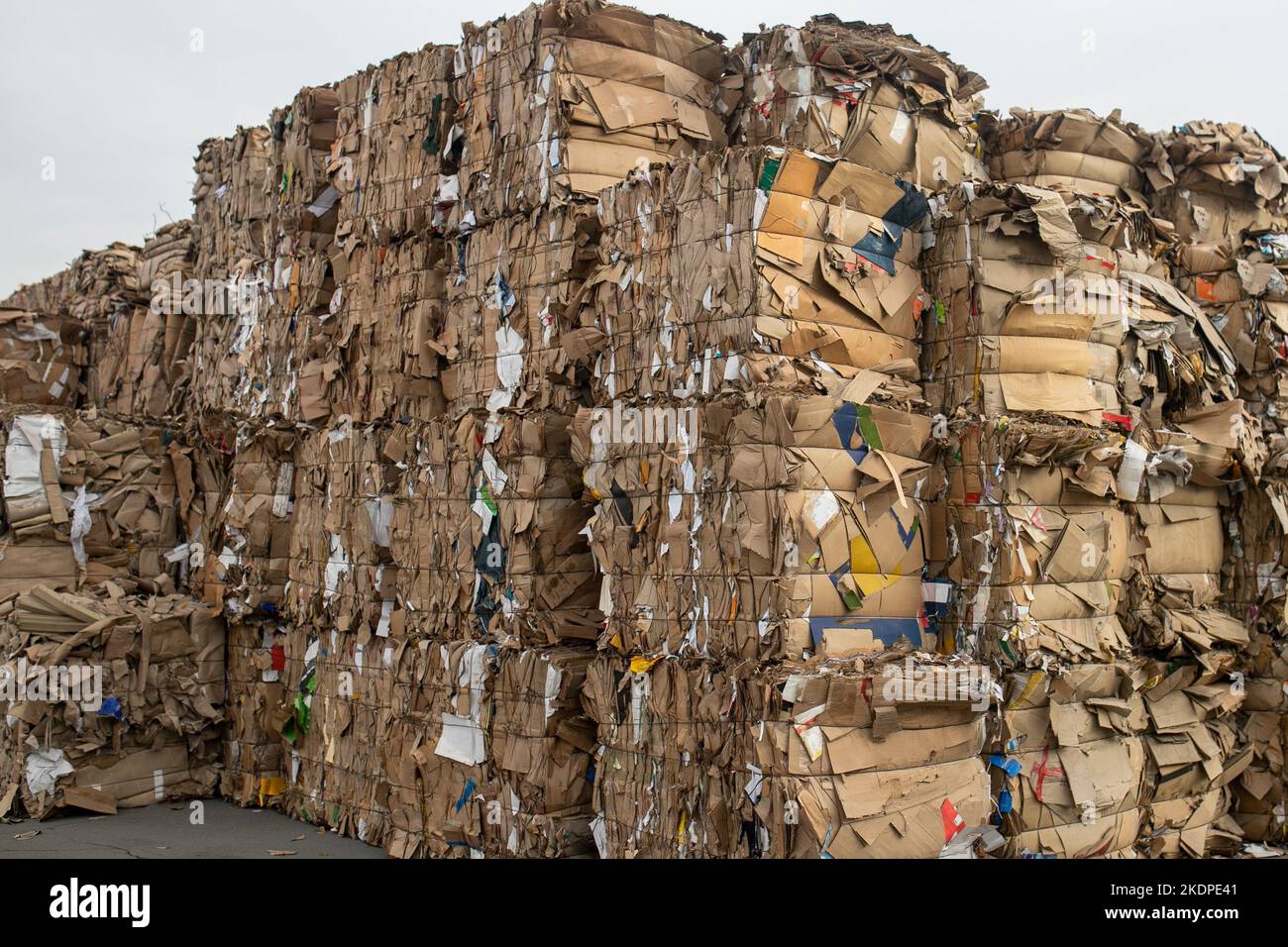 Eine große Anzahl von Kartons mit fein geschnittenem Papier in verschiedenen Farben zum Recycling Stockfoto