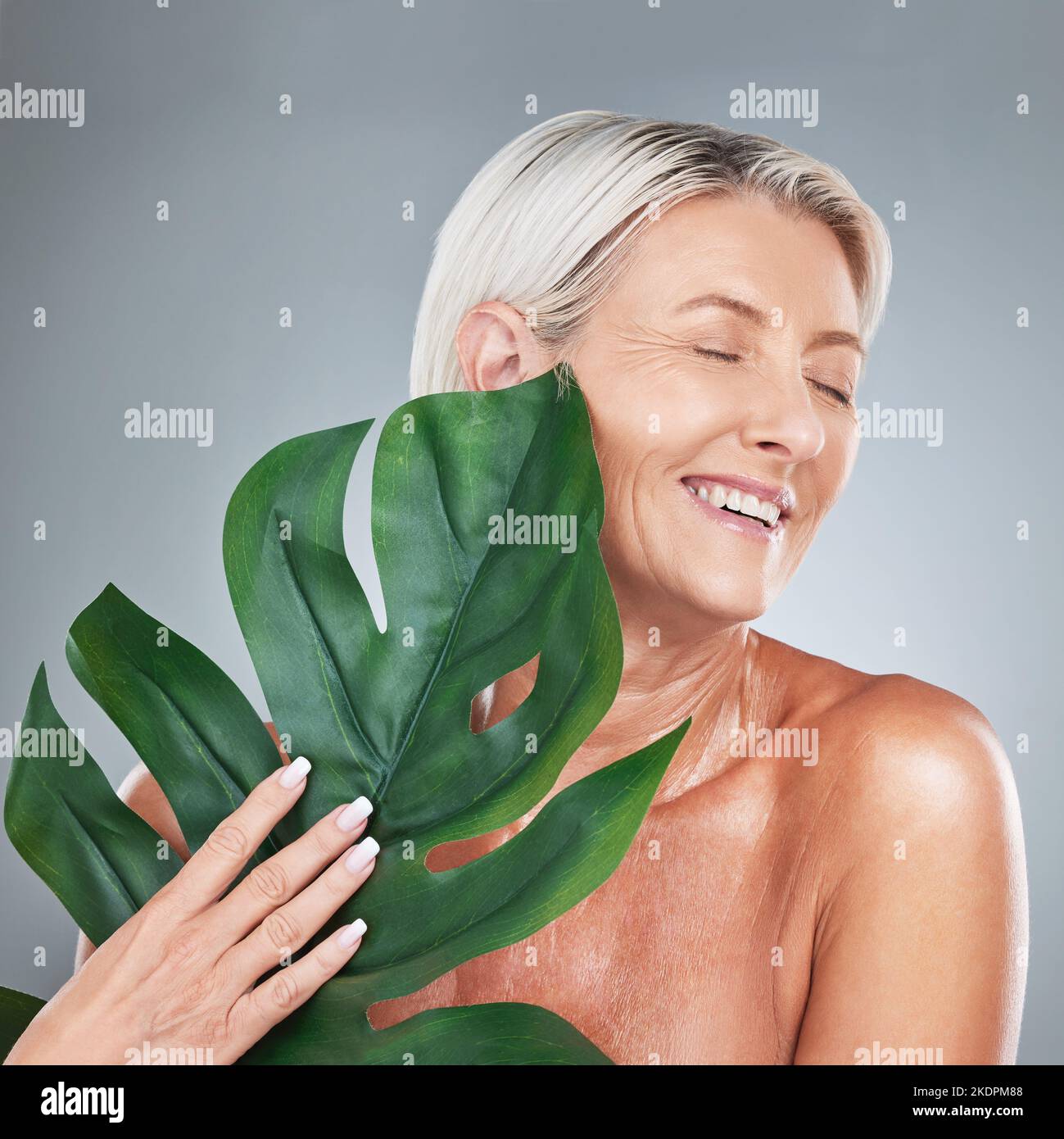 Schönheit, Haut und reife Frau mit Pflanze für Bio-Hautpflege und Anti-Aging-Behandlung auf grauem Studiohintergrund. Körperpflege, Pflanzen und natürliche Haut Stockfoto