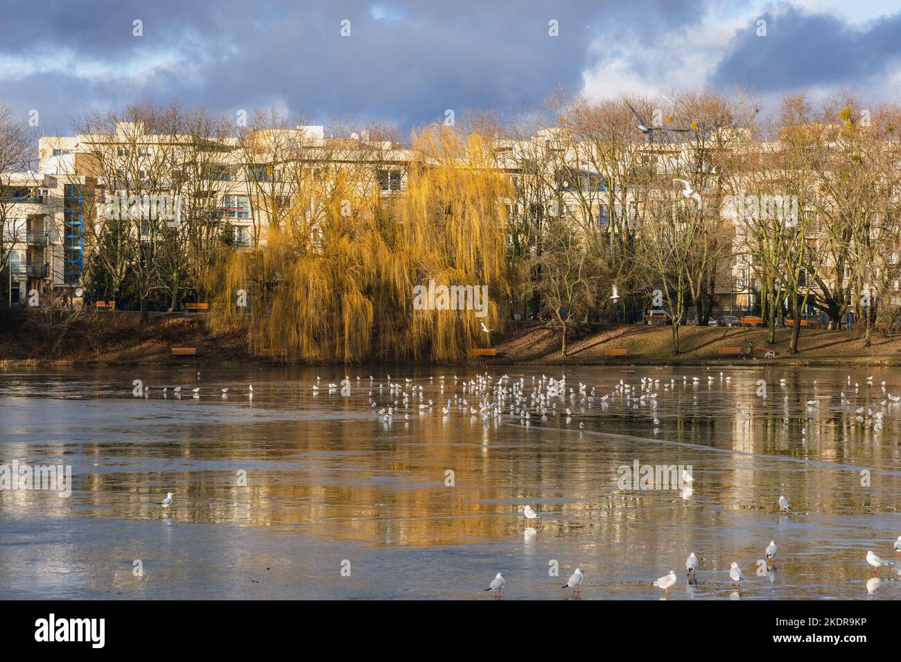 Tongrubenteich im Szczesliwicki Park im Stadtteil Ochota in Warschau, der Hauptstadt Polens Stockfoto