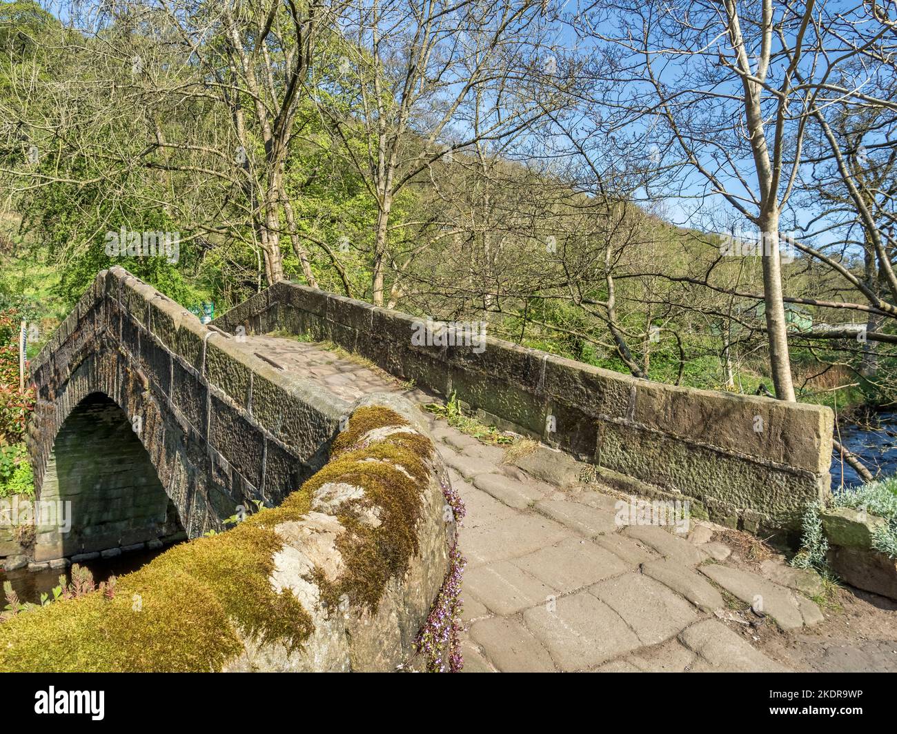 Alte Steinbrücke in Hebden Bridge, West Yorkshire, im Frühjahr, über Hebden Beck am Ende von Spring Grove. Stockfoto