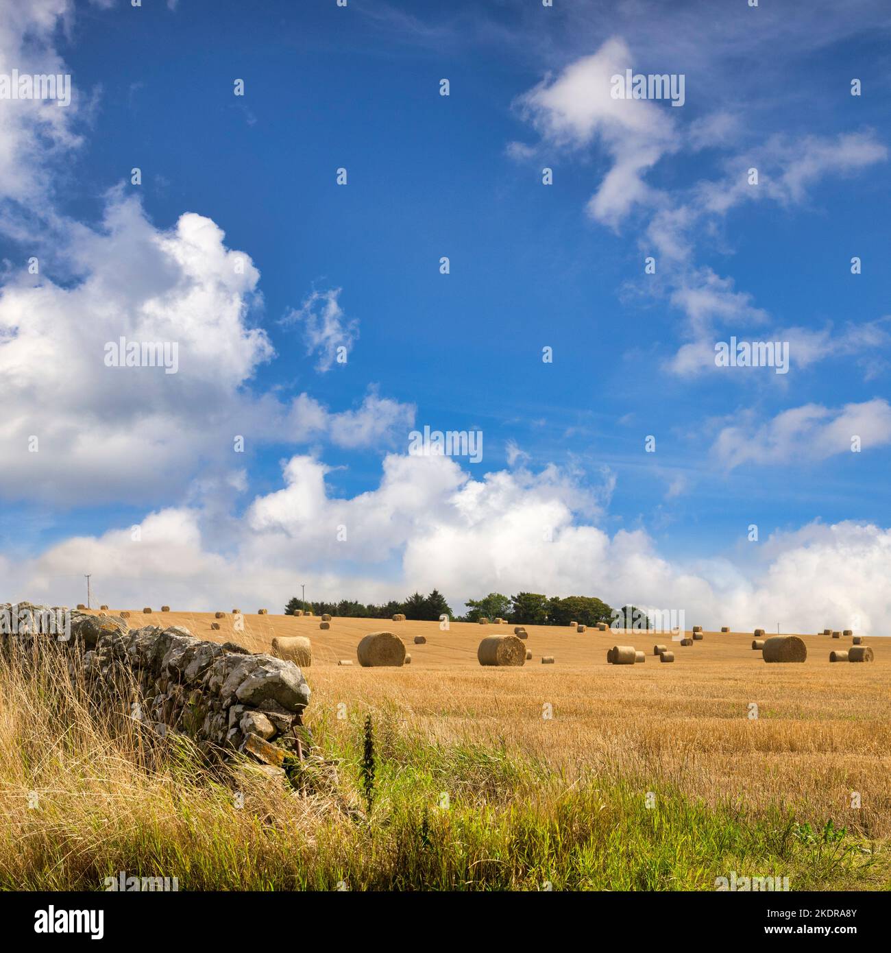 Haybales, verstreut in einem Feld aus Maisstoppeln und einer Trockensteinmauer, unter einem wunderschönen, sommerblauen Himmel, in der Nähe von Portsoy, Aberdeenshire, Schottland. Fokus i Stockfoto