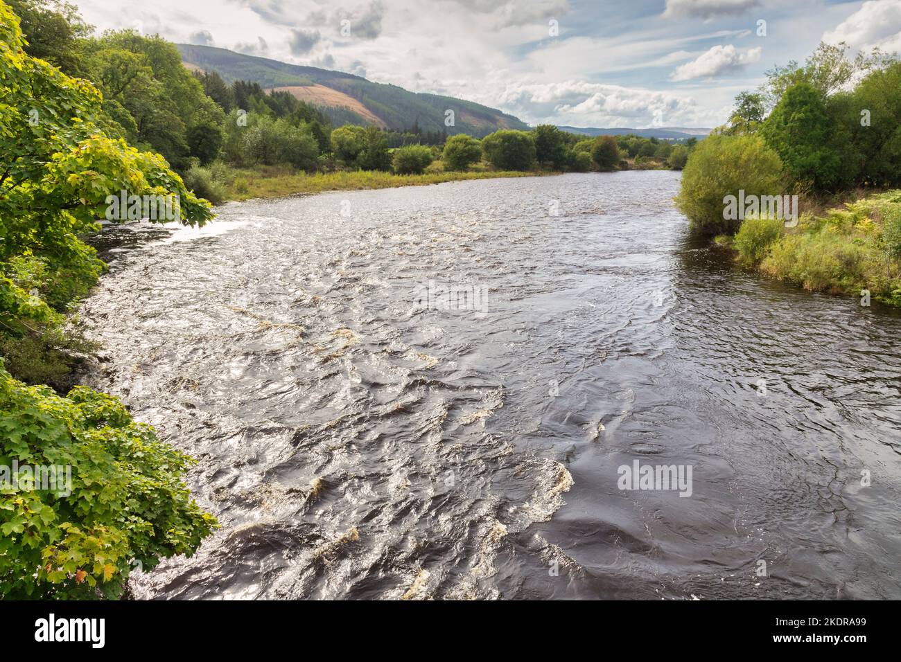 Biegen Sie im Fluss Spey, in der Nähe von Fochabers, Schottland, und glänzen Sie in der Nachmittagssonne. Der Fluss ist wichtig für die Lachsfischerei und die Whiskyproduktion. Stockfoto