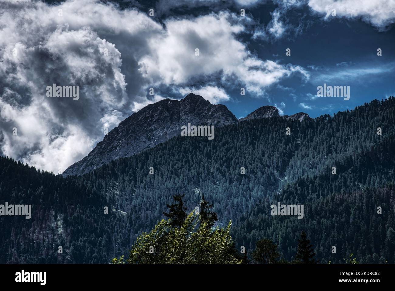 Das Massiv des Monte Serla, 2378 Meter hoch, erhebt sich über den Wäldern des Prags-Tals. HDR-Bild Stockfoto