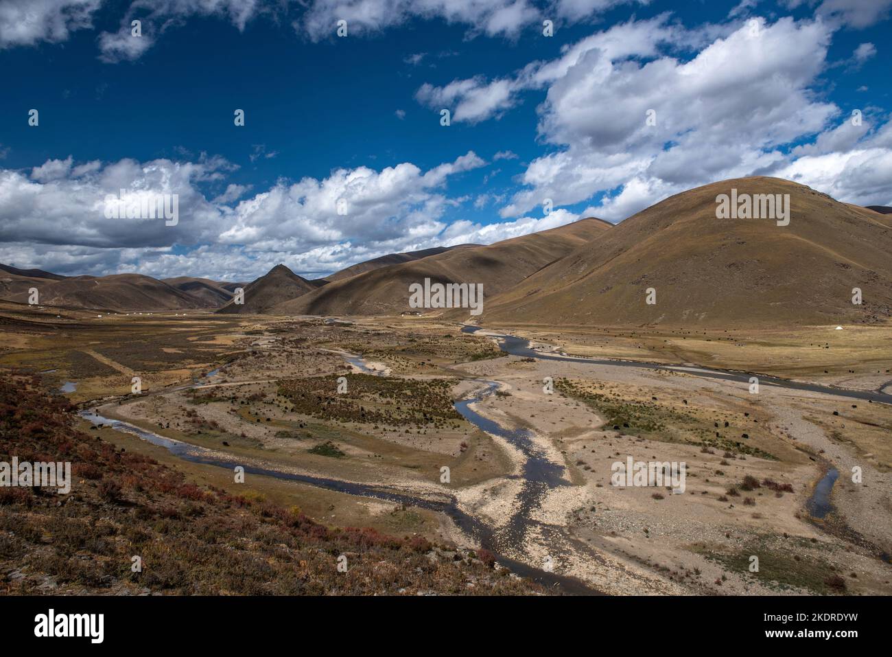 Provinz Sichuan Ganzizhou litang Grasland Stockfoto