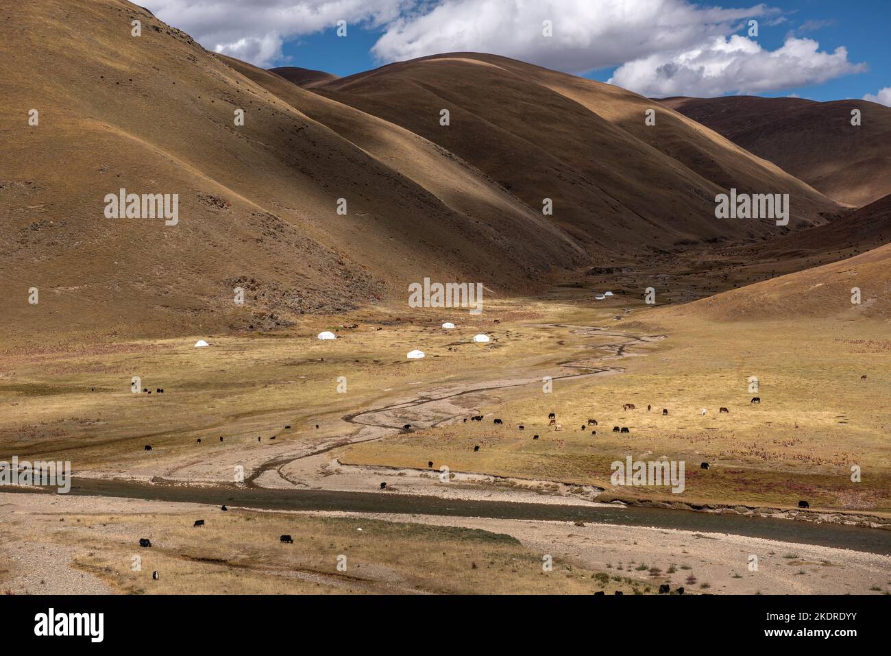 Provinz Sichuan Ganzizhou litang Grasland Stockfoto