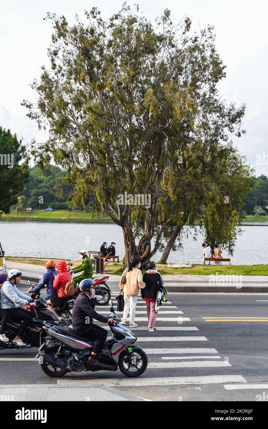 Da Lat, Vietnam - 2. November 2022: Vietnamesischer Weg, um eine Fußgängerüberfahrt zwischen Motorrädern zu überqueren Stockfoto
