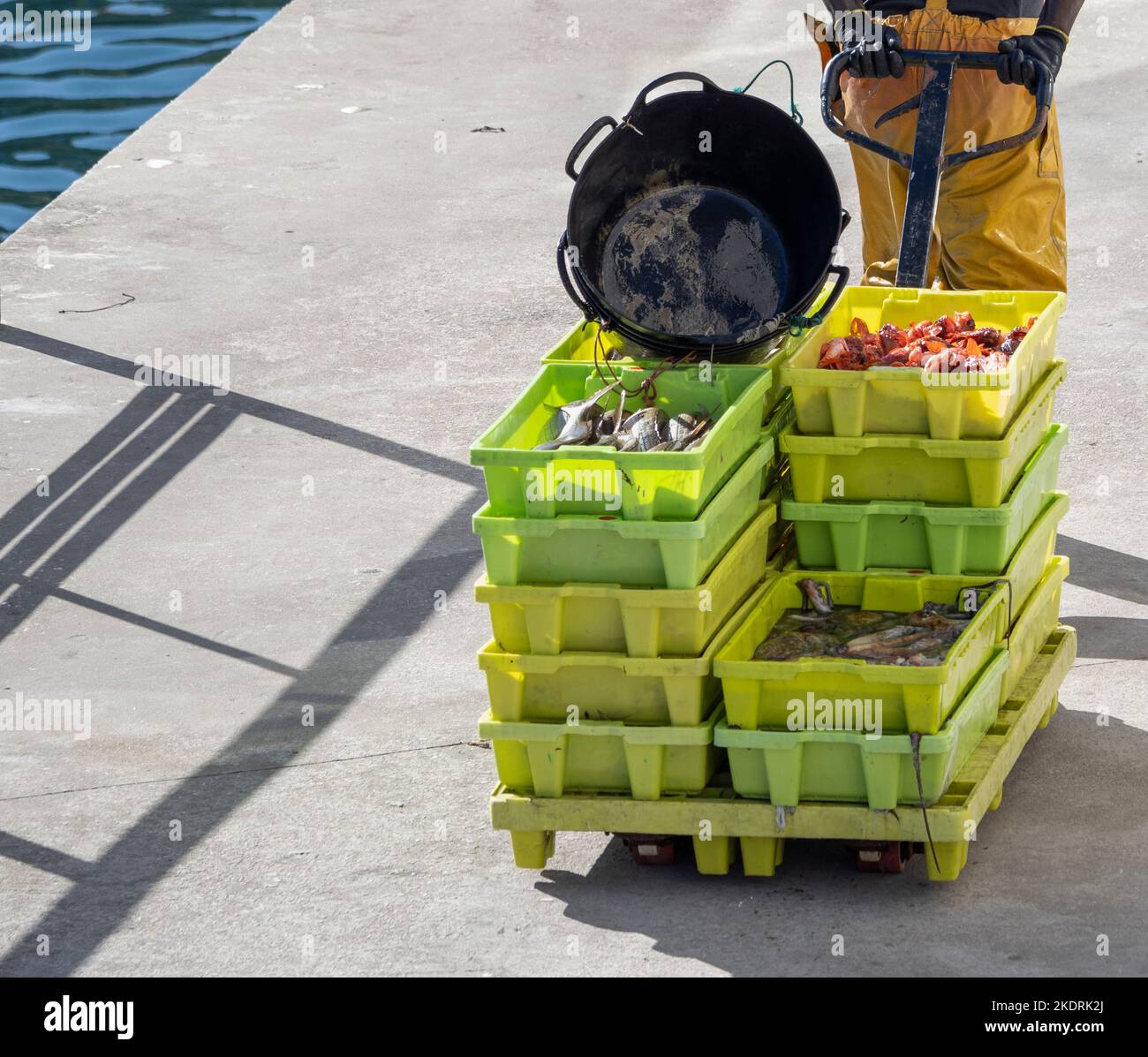 Frischer Fisch kommt am Hafen an Stockfoto