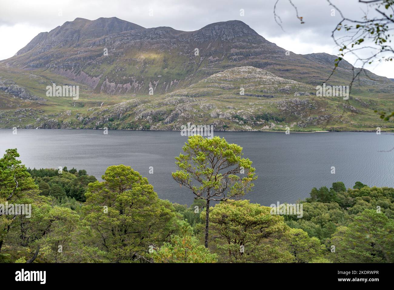 Großbritannien, Schottland, Ross und Cromarty, Wester Ross Highlands. Alte Pinienwälder des Beinn Eighe National Nature Reserve. Loch Maree & Slioch Mountain. Stockfoto