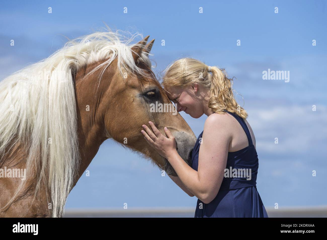Frau mit Haflinger Stockfoto